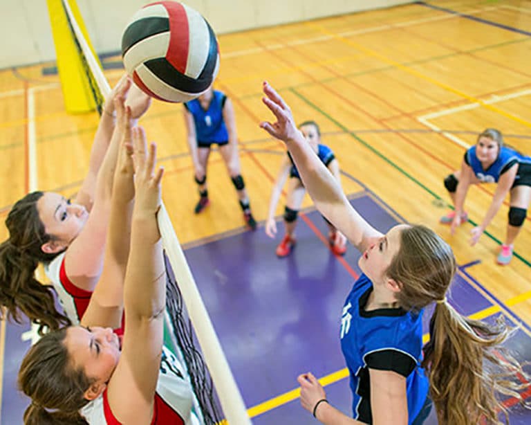 SoCal Elite Sports Orange County Youth Basketball & Volleyball